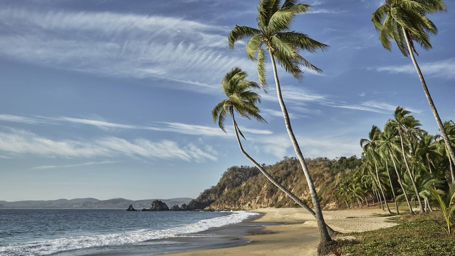 Sandy beach with tall palm trees in Tamarindo, Mexico